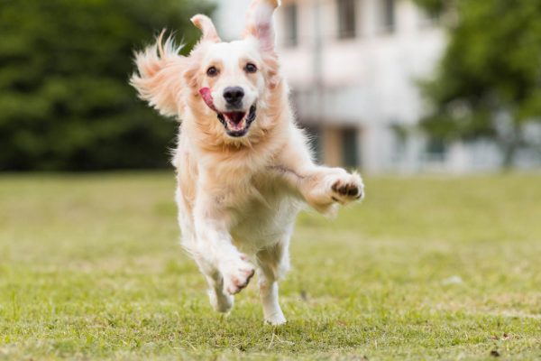 180604_JJEBC-127_web