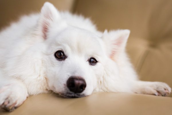 180816_Ice_Gigi-073_web