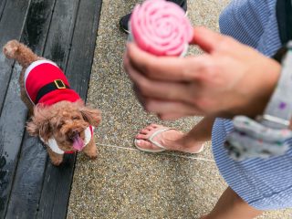 181223_Harley-022_web