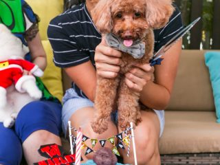 181223_Harley-060_web