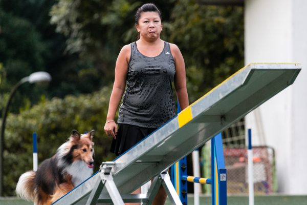 150301_agility_107_web