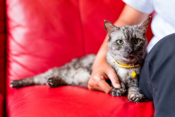 150503-_sup_rae_025_web