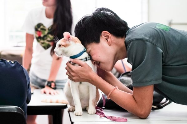 150708_catherapy_021