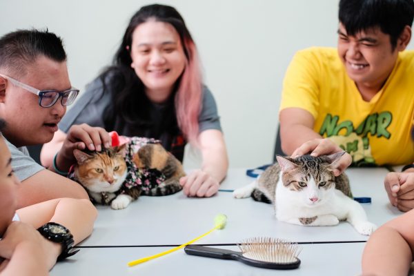 150708_catherapy_027