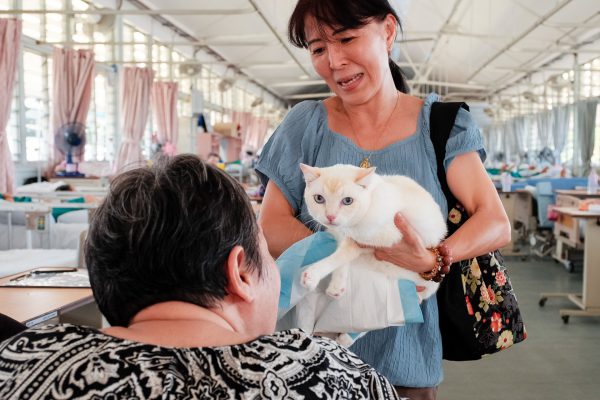 150725_catherapy_012