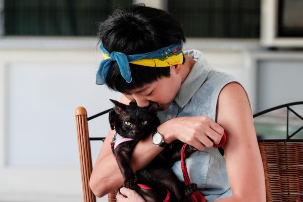 150725_catherapy_058