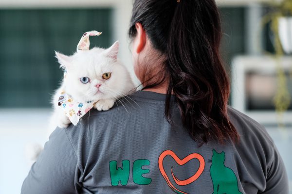 150725_catherapy_061