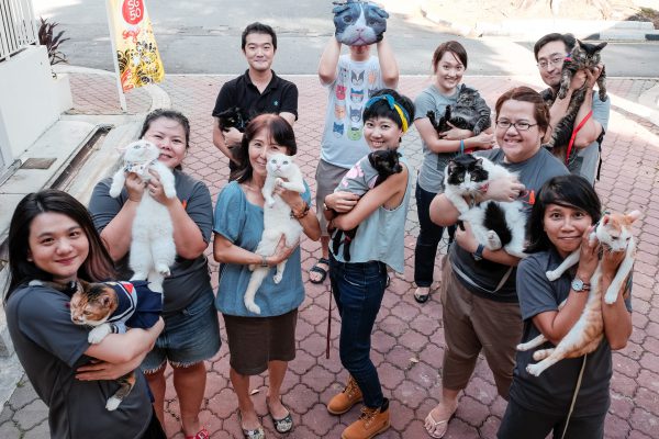 150725_catherapy_063