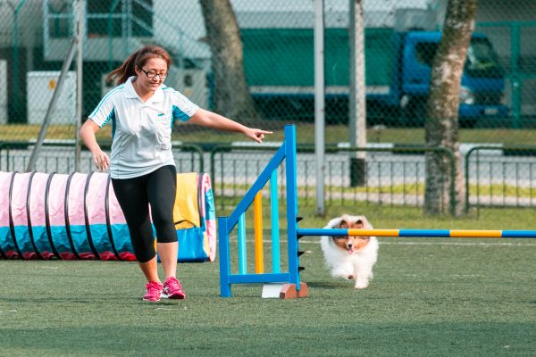 151107_uki_agility-035_web