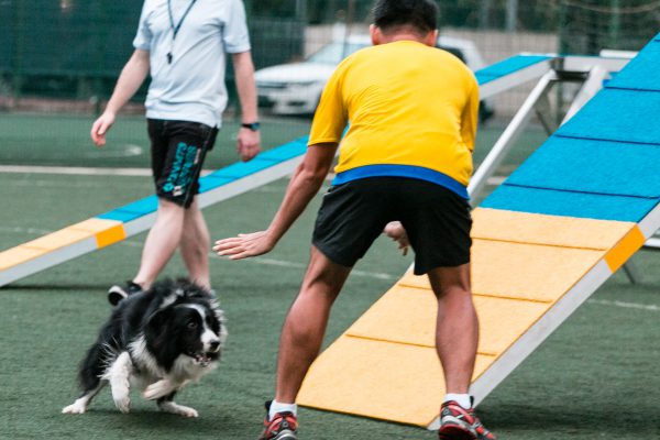 151107_uki_agility-161_web