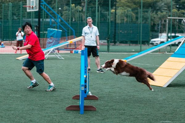 151107_uki_agility-166_web