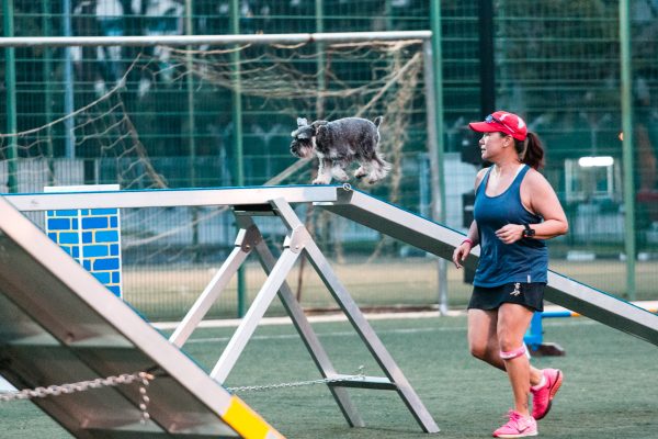 151107_uki_agility-229_web