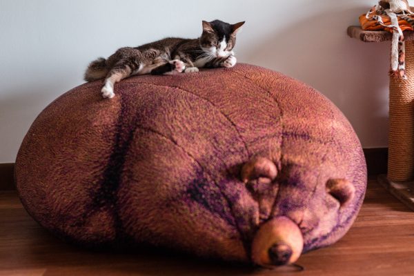 160220_freda-029_web