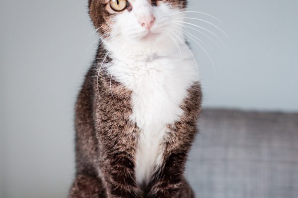 160220_freda-058_web