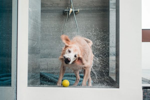 1609_flap10_day1-023