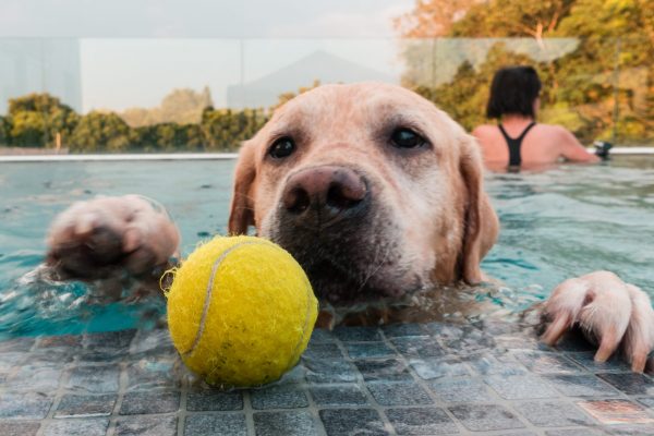 1609_flap10_day1-028