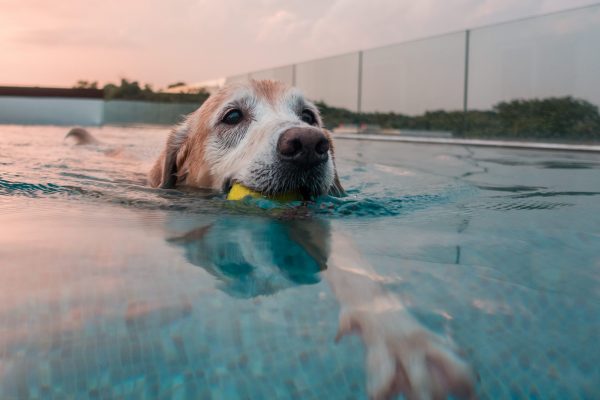 1609_flap10_day1-030