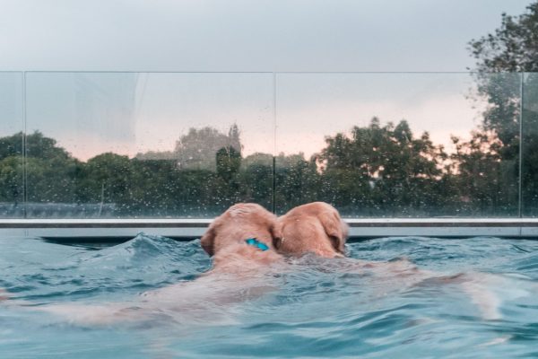 1609_flap10_day2-014