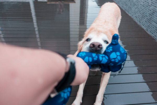 1609_flap10_day2-023