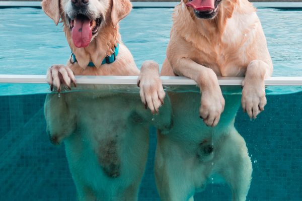 1609_flap10_day2-031