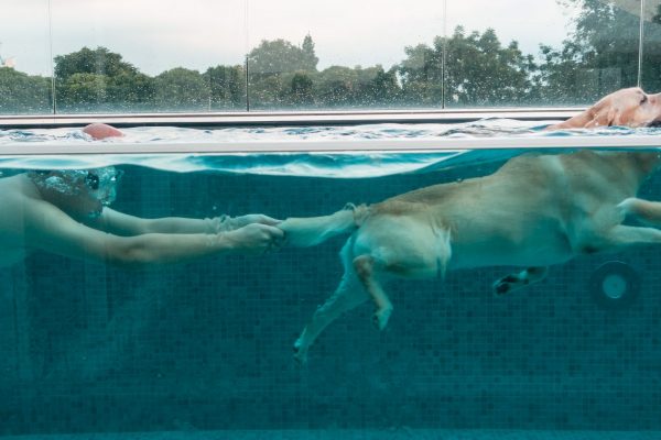 1609_flap10_day2-040