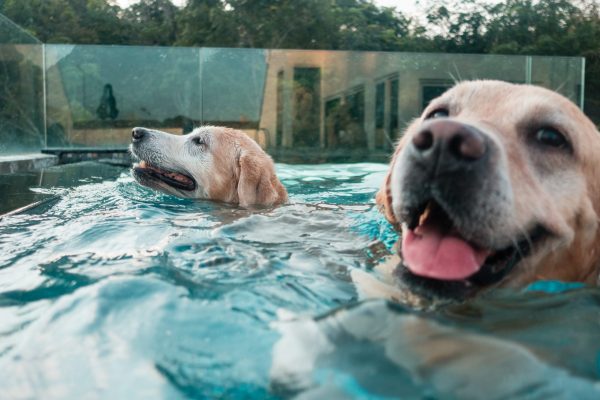 1609_flap10_day2-045