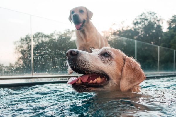 1609_flap10_day2-053