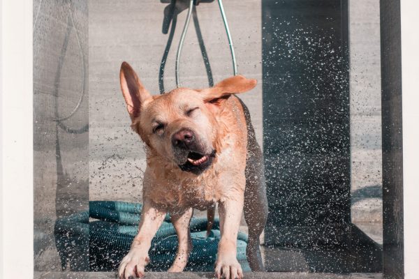 1609_flap10_day2-061