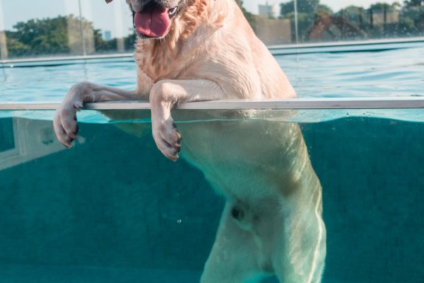 1609_flap10_day2-065