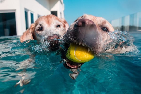 1609_flap10_day2-072