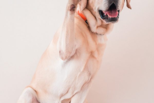 1609_flap10_day2-085