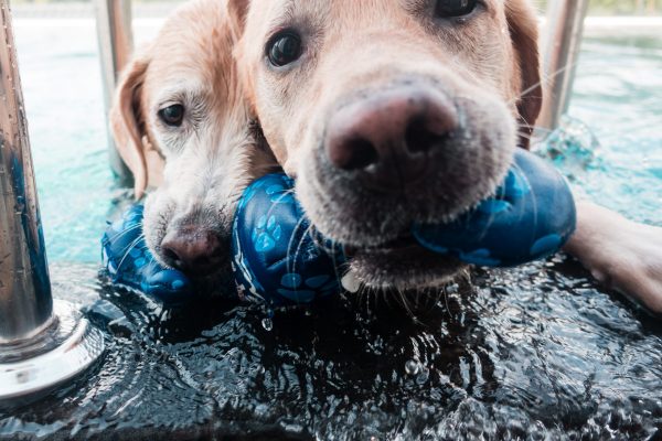 1609_flap10_day2-104