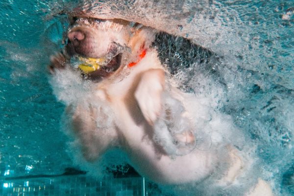 1609_flap10_day2-146