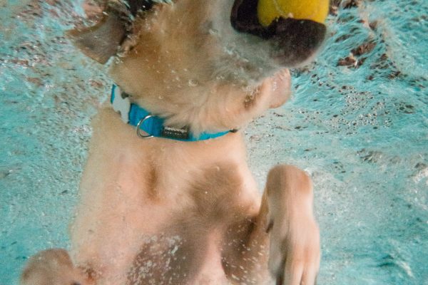 1609_flap10_day2-149