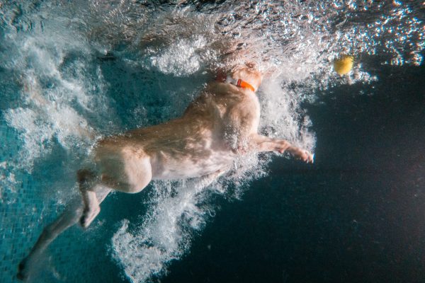 1609_flap10_day2-152