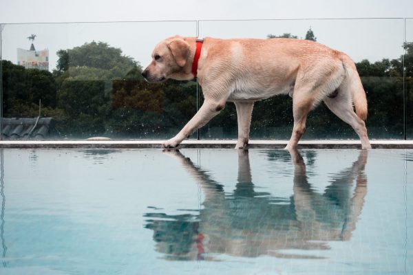 1609_flap10_day3-056