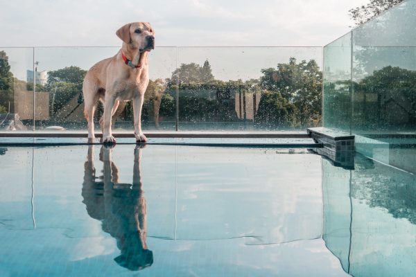 1609_flap10_day4-016