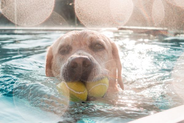 1609_flap10_day4-020