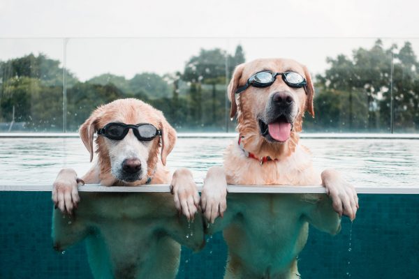 1609_flap10_day4-046