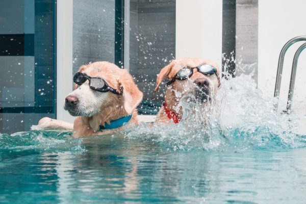 1609_flap10_day4-053