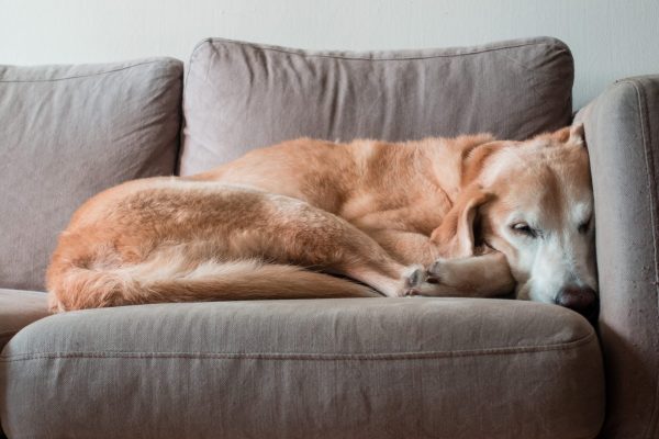 1609_flap10_day4-059