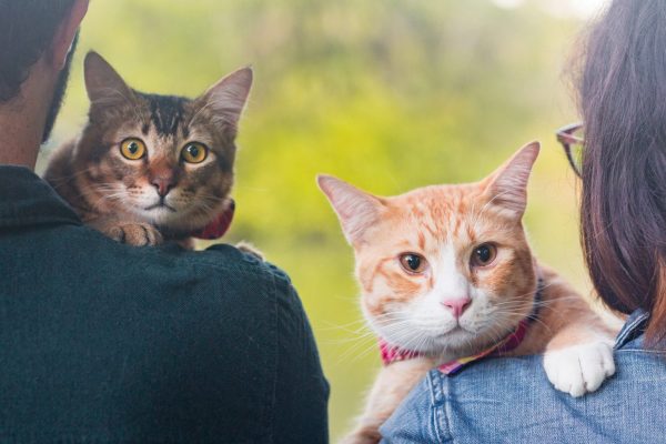 170106_Fizah_Max-003_web