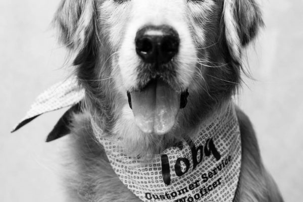 180604_Barkery-117_web