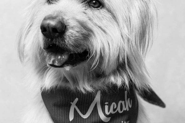 180604_Barkery-129_web