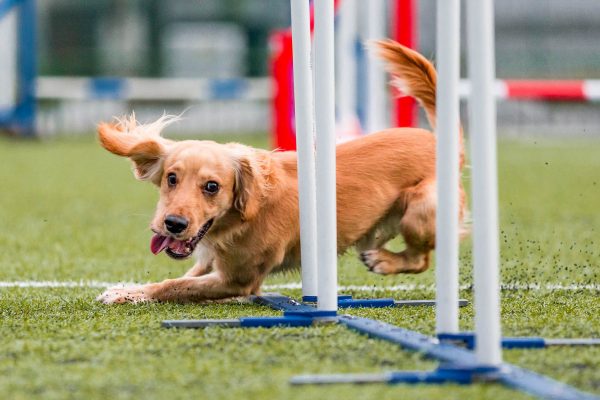 181007_Busy_Filur-031_web