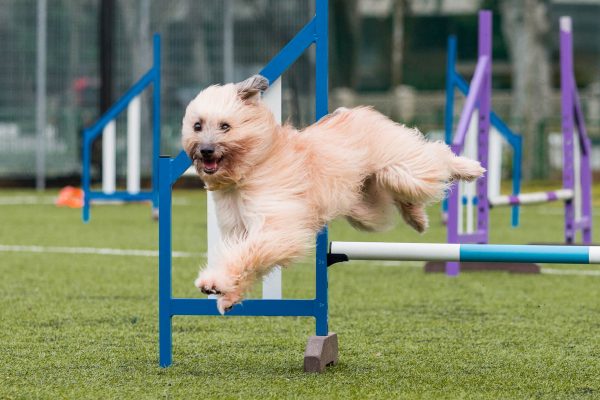 181007_Busy_Filur-049_web