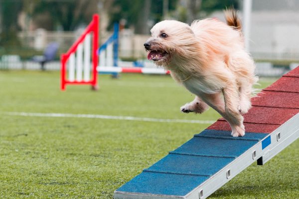 181007_Busy_Filur-072_web