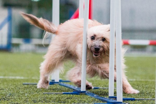 181007_Busy_Filur-099_web