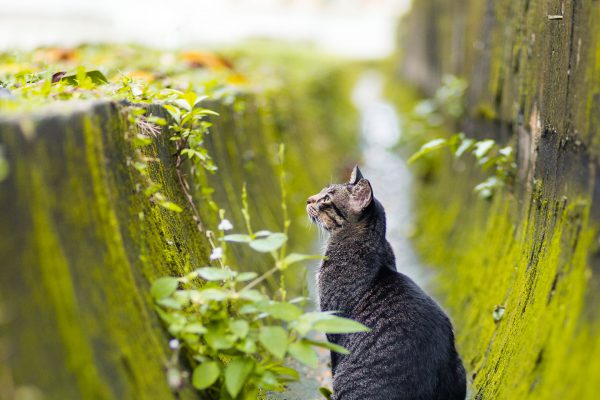 Looking up to his namesake