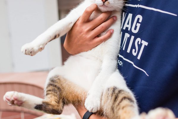 Being held by a volunteer from NTUCMN